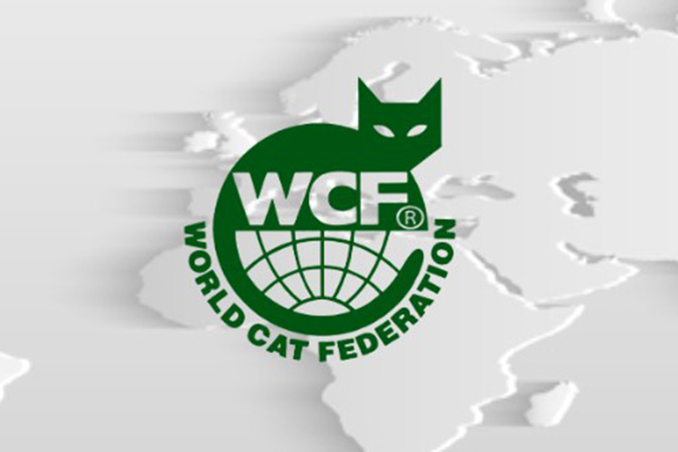 WORLD CAT FEDERATION
